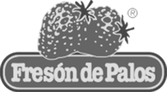 Expertos en Desarrollo Visual frettchenworks cliente fresón de palos